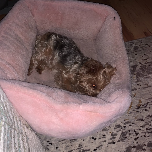 Meet your Posher, Irene - Picture 1 of 1